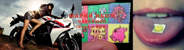 сатива Абаза