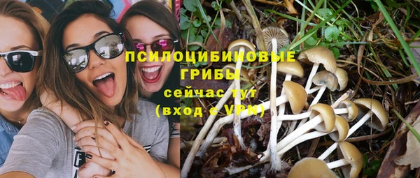 сатива Абаза