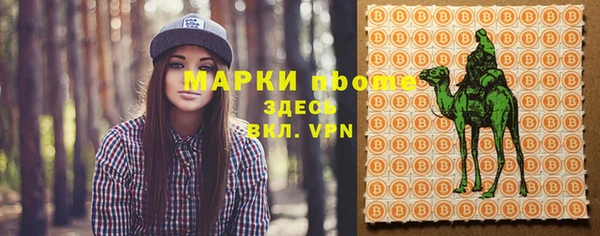 прущие грибы Абинск