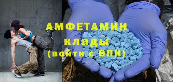 прущие грибы Абинск