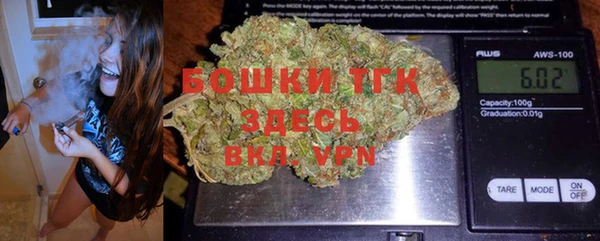 прущие грибы Абинск