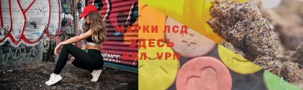 прущие грибы Абинск